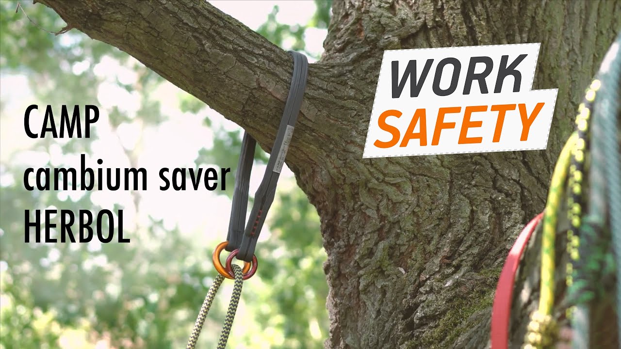 Cambium saver CAMP HERBOL