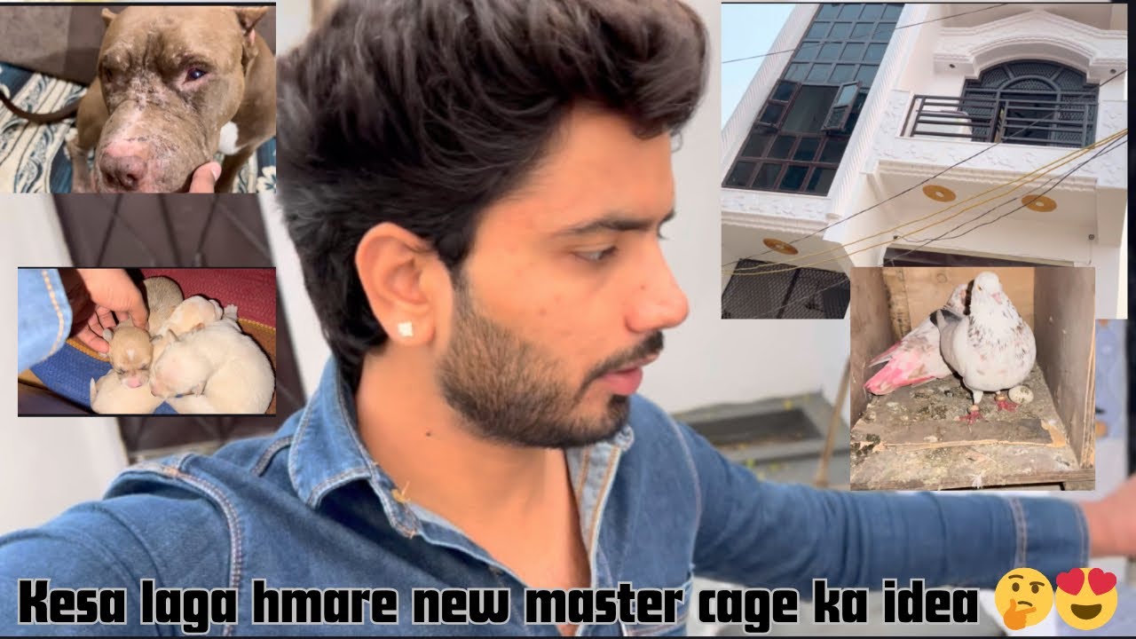 Hmari ek or kabutari🕊️ne ande🥚rakh diye !! Hmara office😍