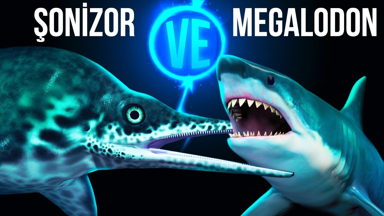 Megalodon ve En Büyük Deniz Dinozorunun Efsanevi Karşılaşması