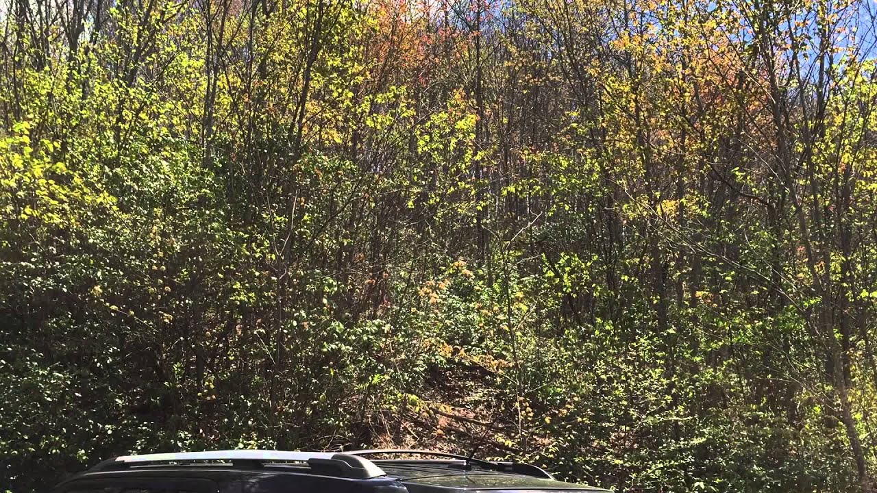 Homesite 258 at Balsam Mountain Preserve