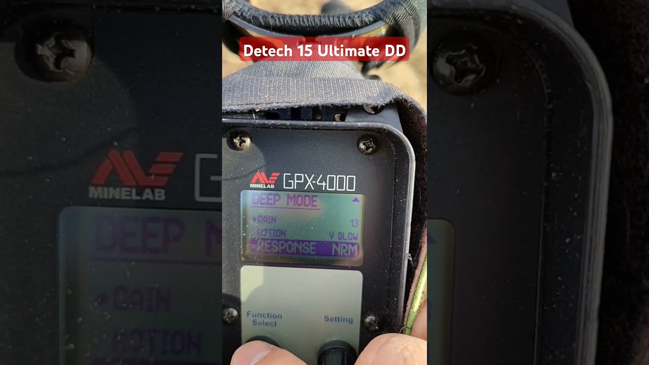 Minelab GPX and 15