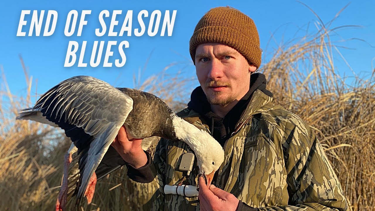 Missouri Snow Goose Hunting