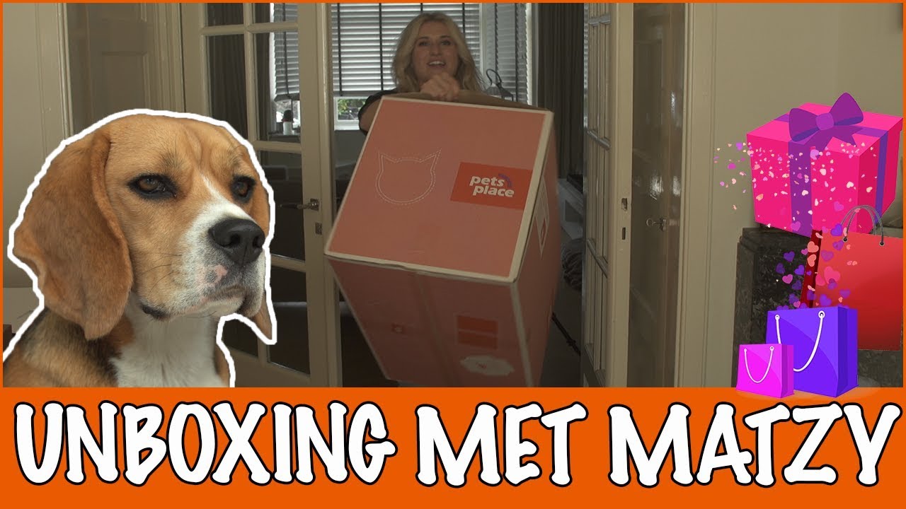 Stylen in huis met nieuwe dierenspullen | DierenpraatTV