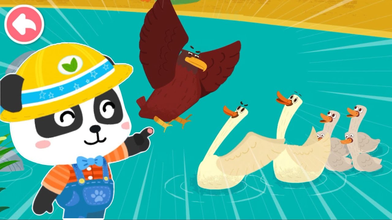 Baby Panda's Bird Kingdom | Learn and Take Care of Baby Birds | BabyBus Games