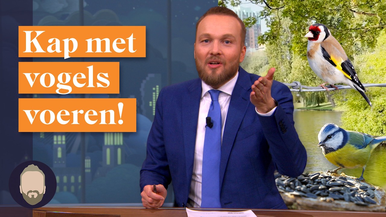 5 redenen waarom je geen vogels moet voeren! | LUBACH