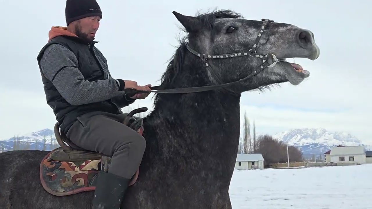 Бышты 3 жаш +996-224-01-71-32 29 января 2026 г.