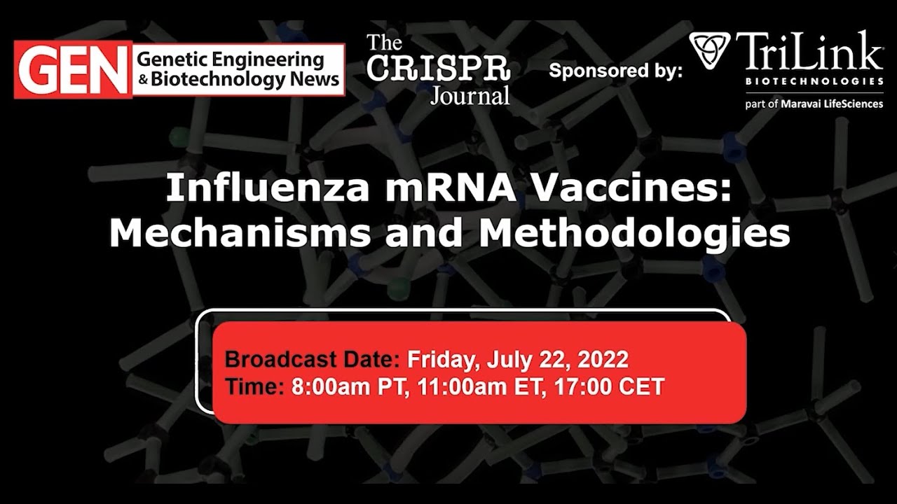 Influenza mRNA Vaccines: Mechanisms and Methodologies