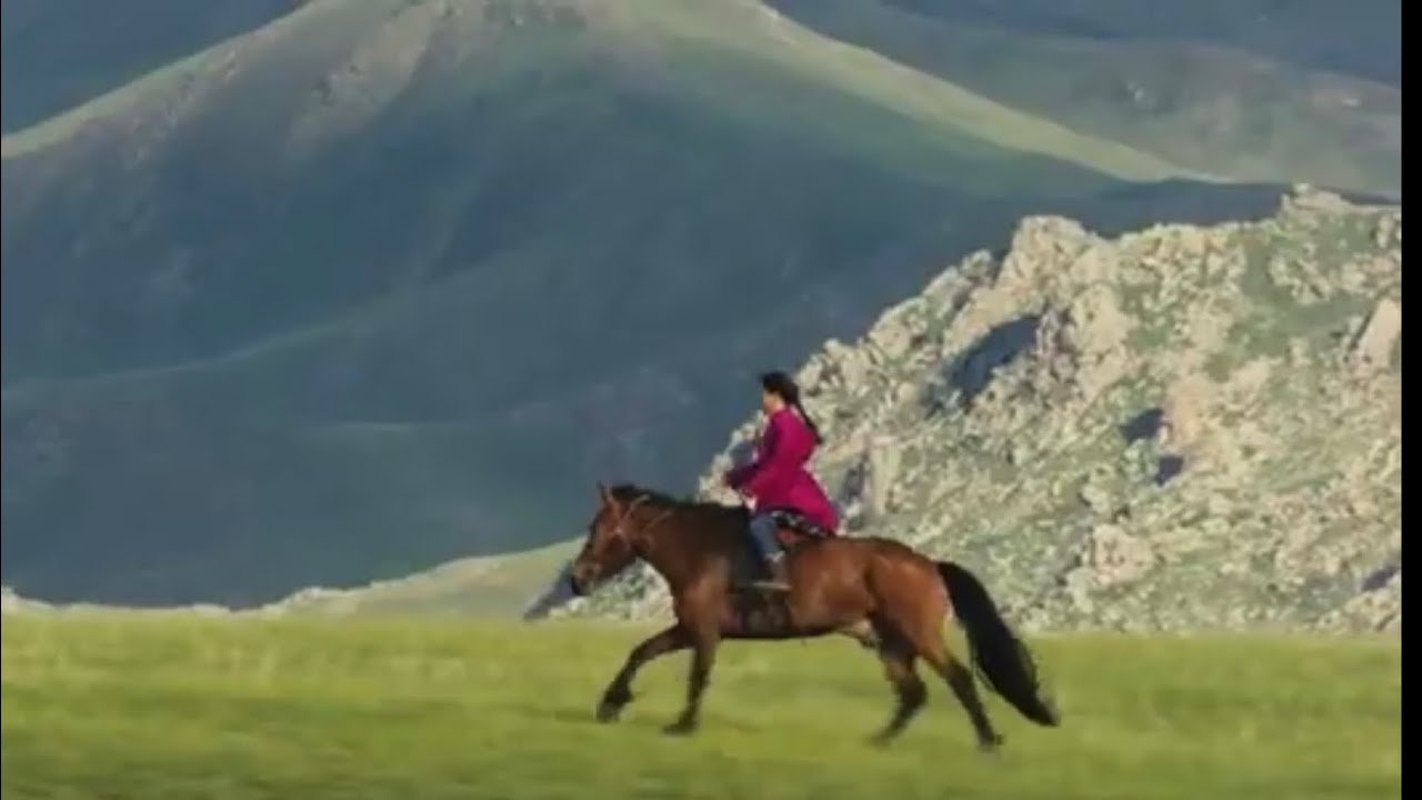 Damian Anfile - Totul despre Mongolia!