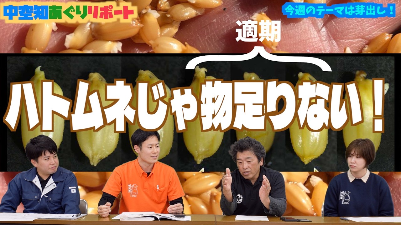【コメント大募集！】秘訣はその前の段階からあった？？種籾の芽出しをおさらいしよう！その他、新事業紹介など【再アップ】