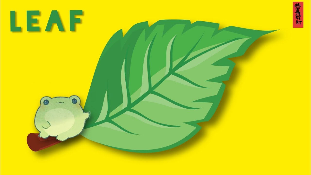 Structure of a leaf |Parts of a leaf