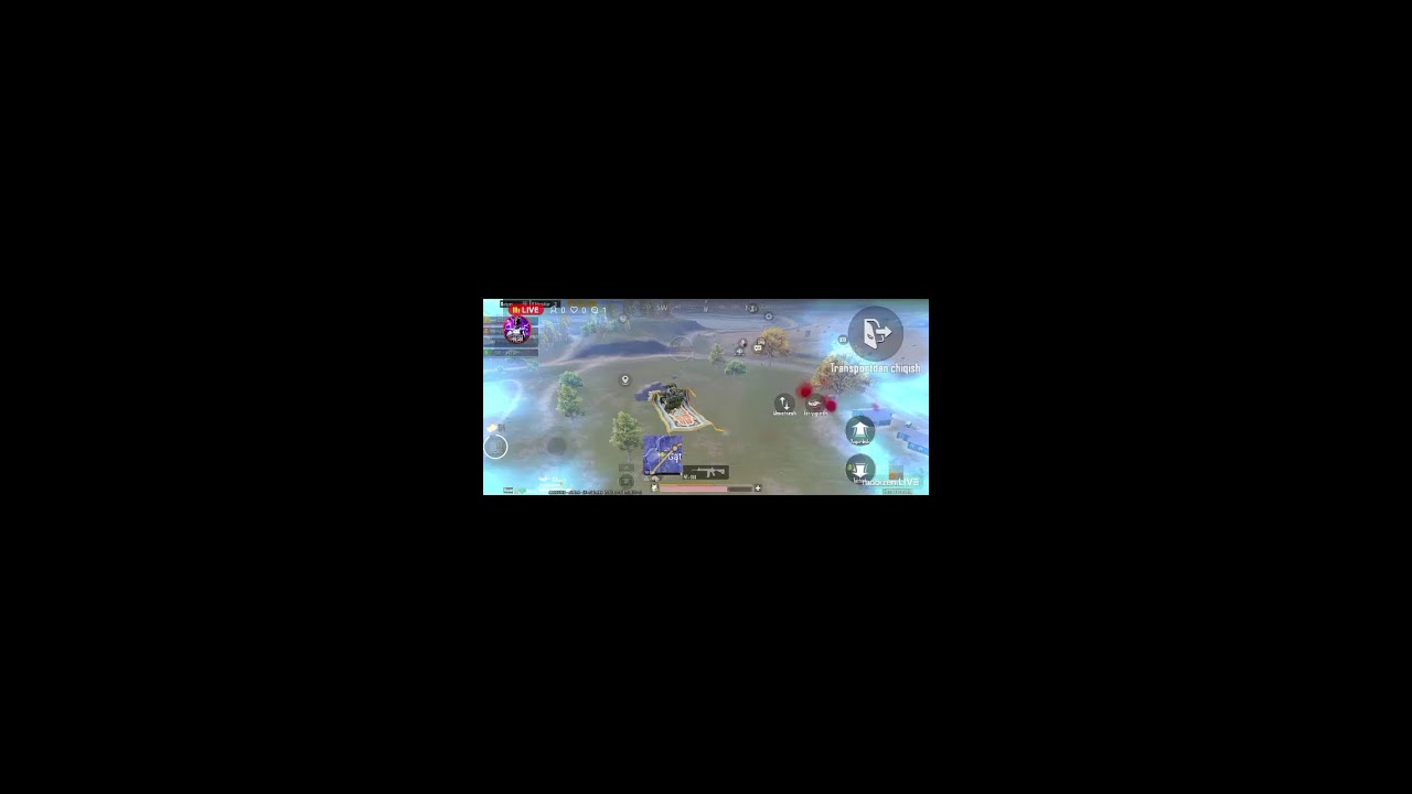 ENZO_PBG