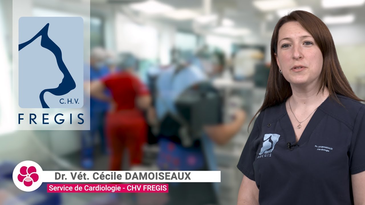 CHV Fregis (cardiology department) - Cardio Supp™ Miloa and Omega Supp™ Miloa