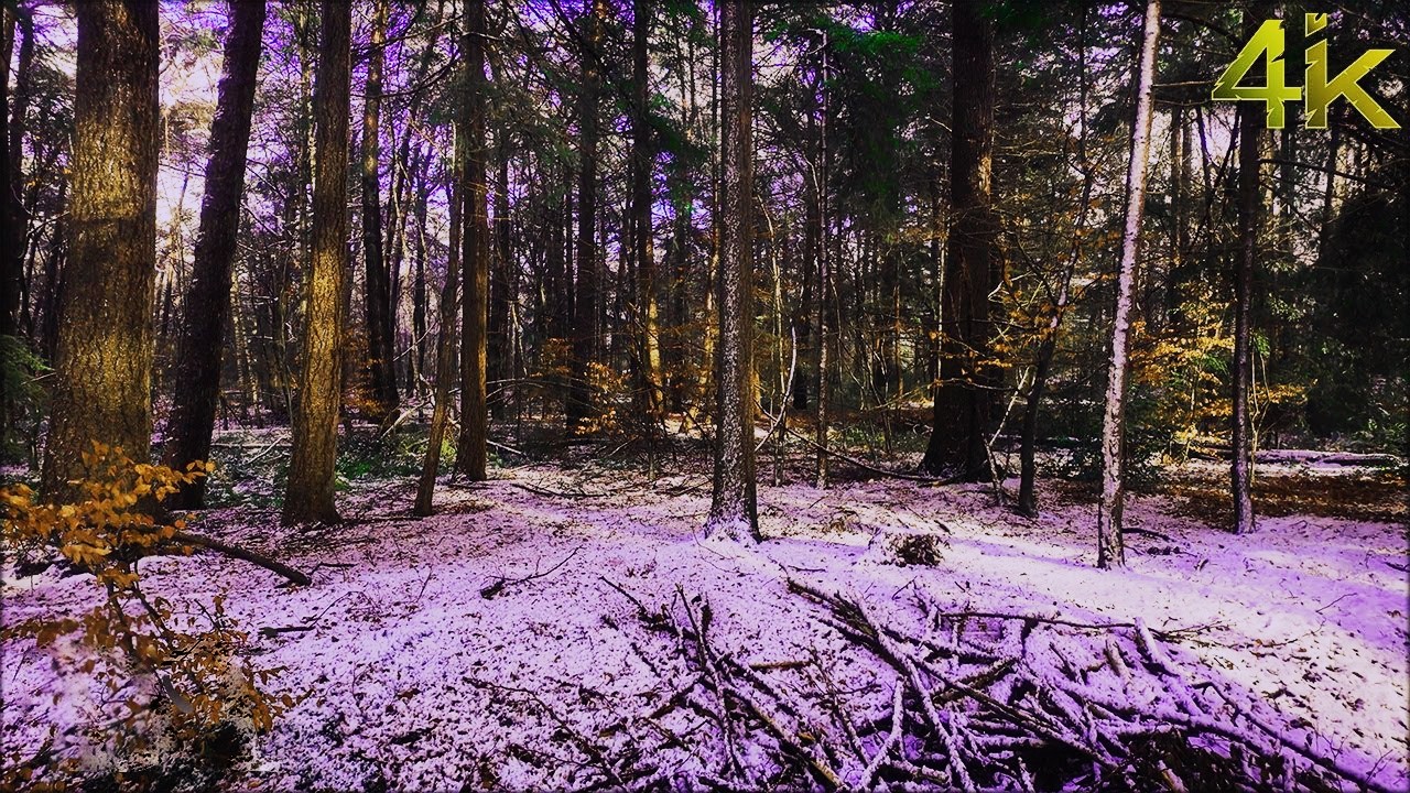 Snowy Winter Walk in Soest, Netherlands 4K & Relaxing ASMR Walking Tour