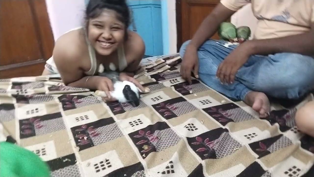 #rabit