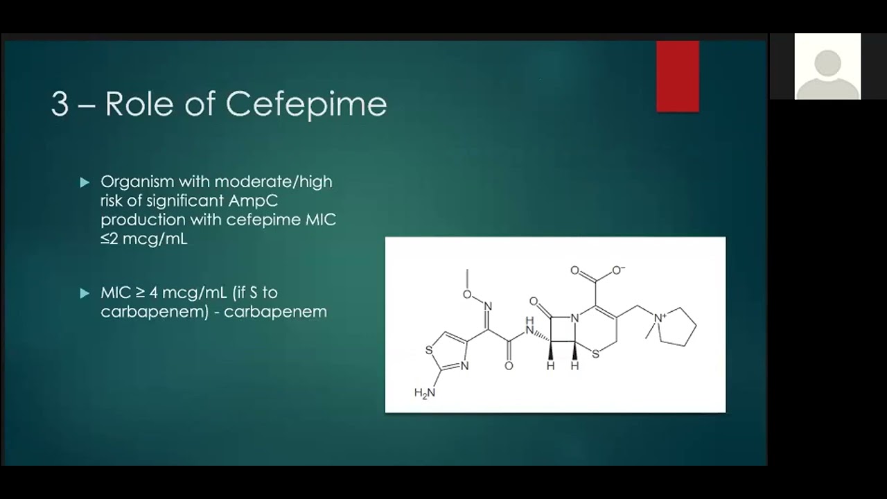 AmpC betalactamases Edward Chu