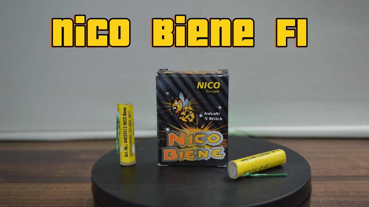 Nico Biene F1
