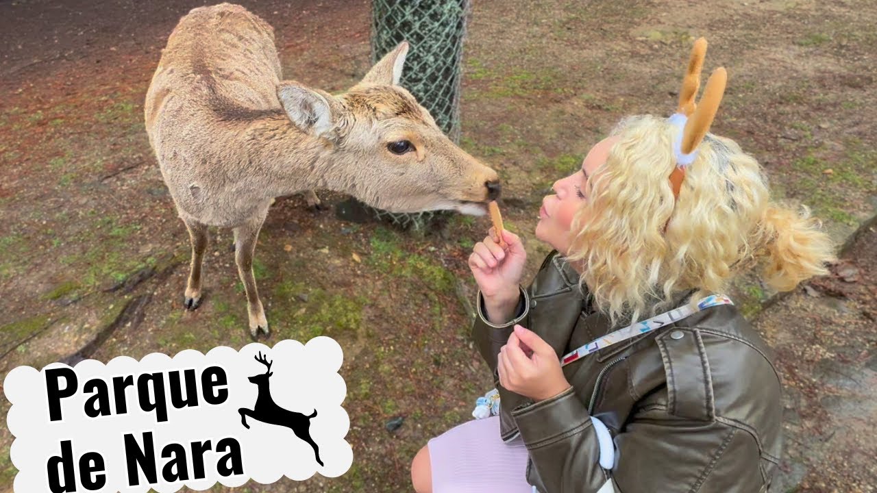 CONHECI um BAMBI de NARA no JAPÃO ( Fiquei emocionada )