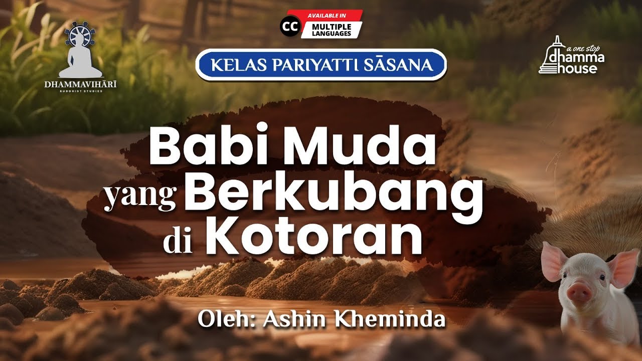 Dhammapada 338-343 #babimuda #berkubang #kotoran