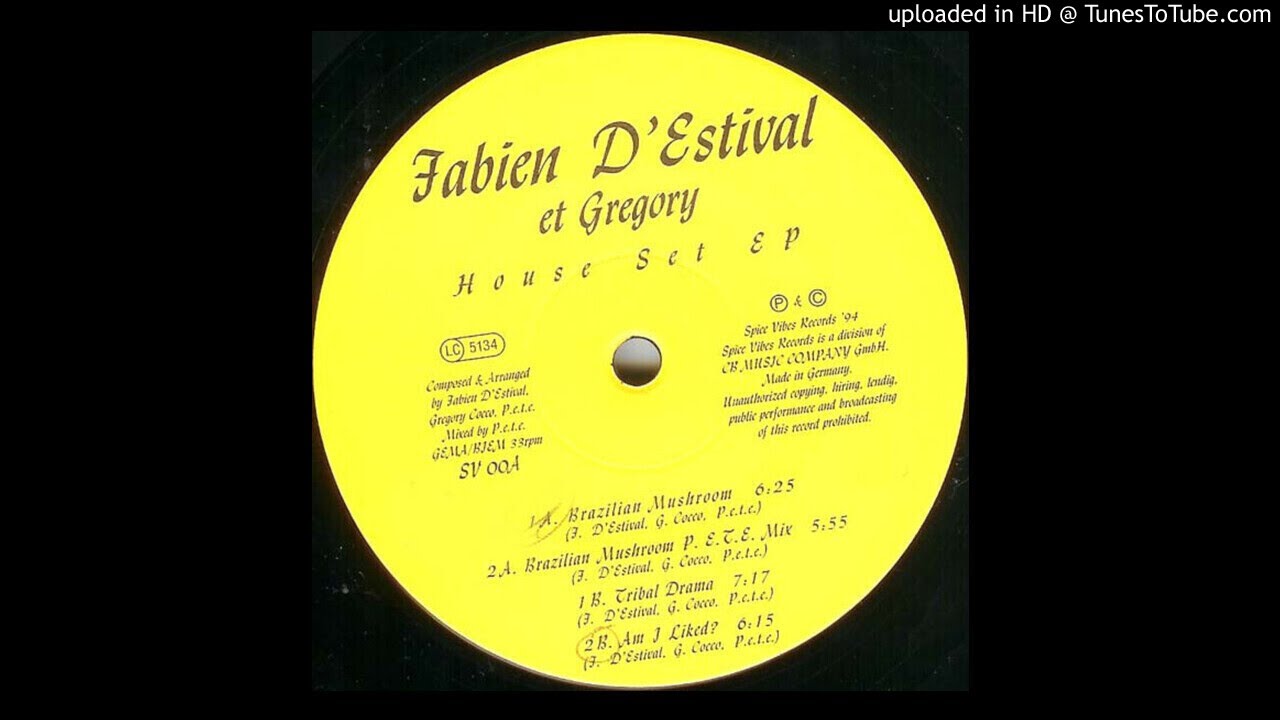 Fabien D'Estival et Gregory - Am I Liked [SV00A]