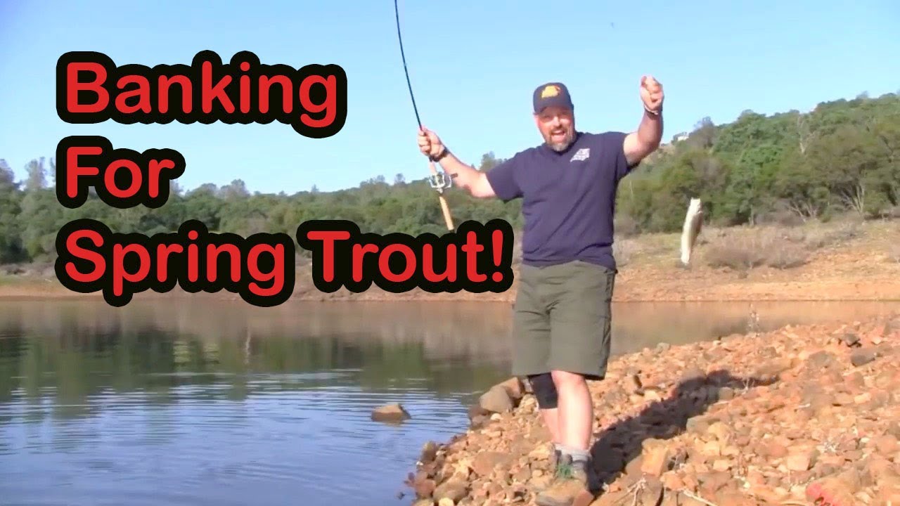 Bank Fishing For Trout: The Basics!