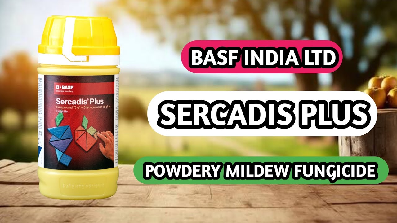 Basf sercadis plus | Sercadis plus fungicide | Basf new fungicide | Sercadis plus
