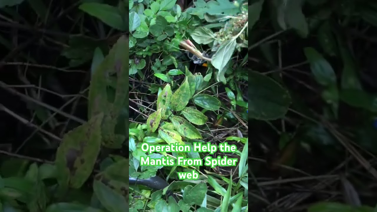 #Help