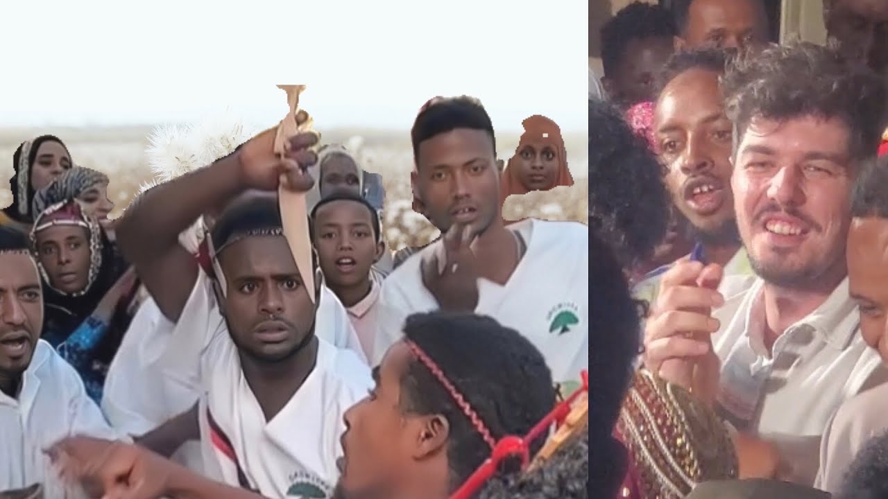 Cidha Oromo aadaa harargee dhichisa, shaggooyyee shubbisaa hellee fi hellemaa hunda qabuu #ethiopia