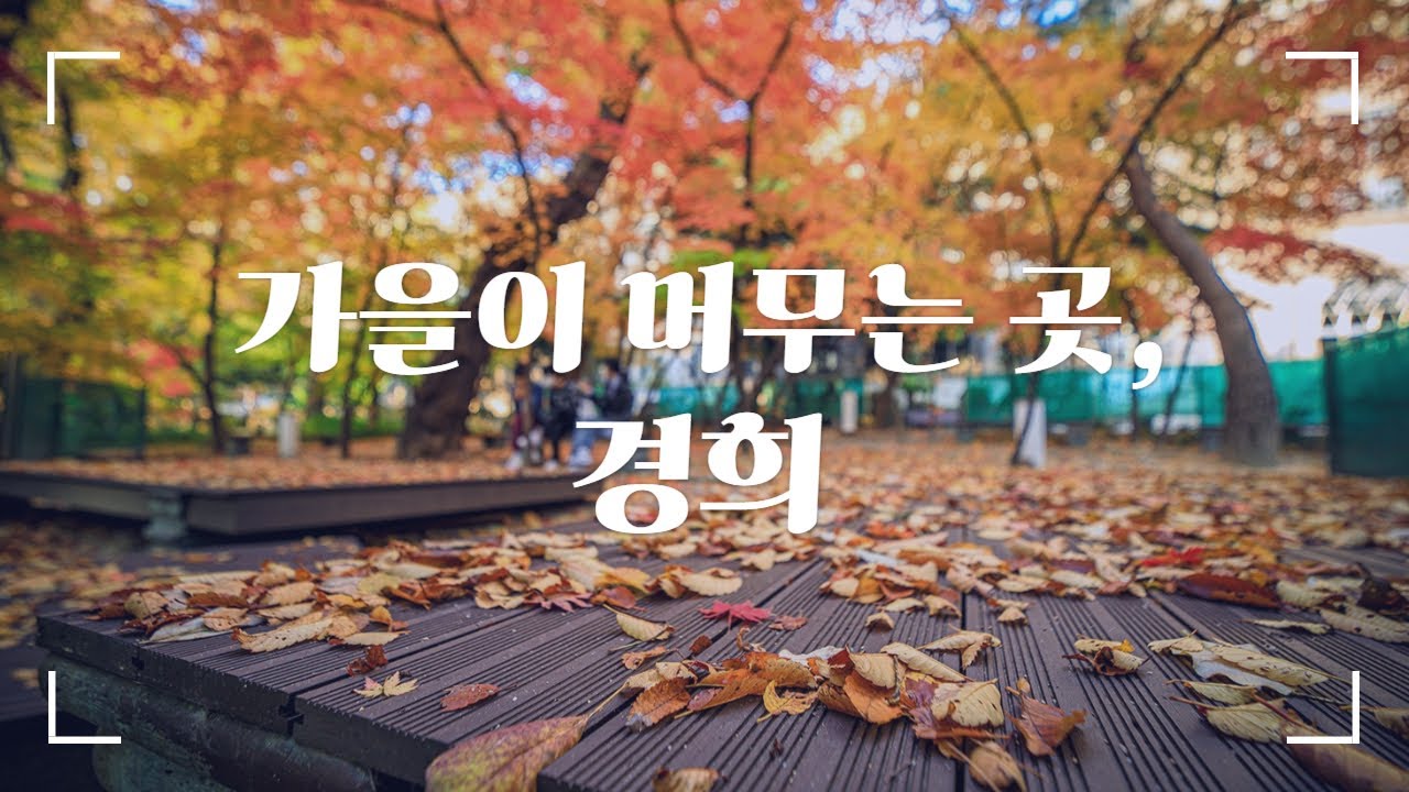 가을빛이 머무는 곳, 경희대학교 캠퍼스 스케치 🎞️｜#경희대
