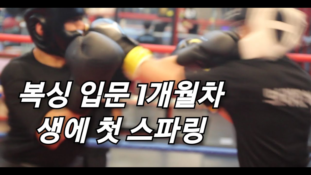 복싱 입문 1개월차 복린이의 생에 첫 스파링( 처음 치고 잘함)