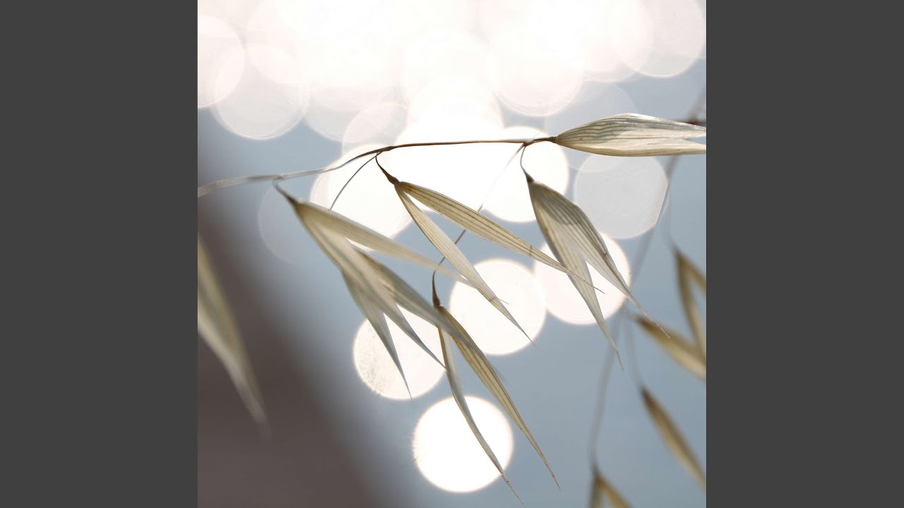 Cool Music for Cooking Luxury