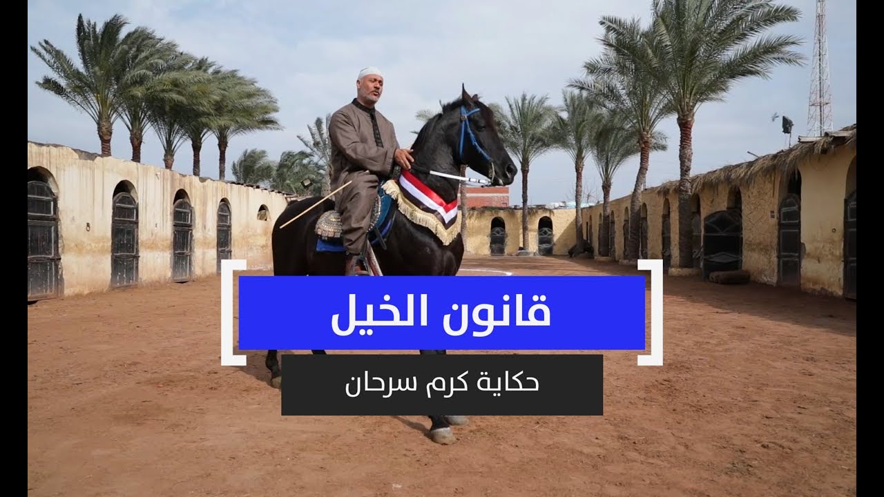 قانون الخيل.. حكاية كرم سرحان