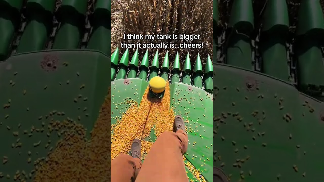 Упс #cabcorn #johndeere #кукуруза #комбайн #уборка #фермерскаяжизнь #фермерство #деньвмоейжизни #...