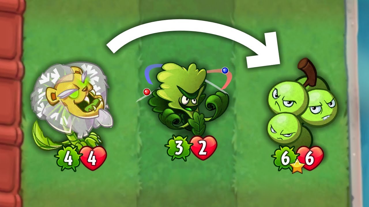 Using Molekale + Dandy Lion King Combos