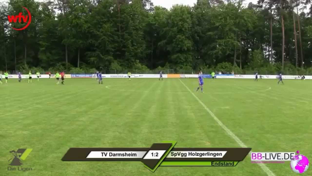 TV Darmsheim - SpVgg Holzgerlingen 1:2