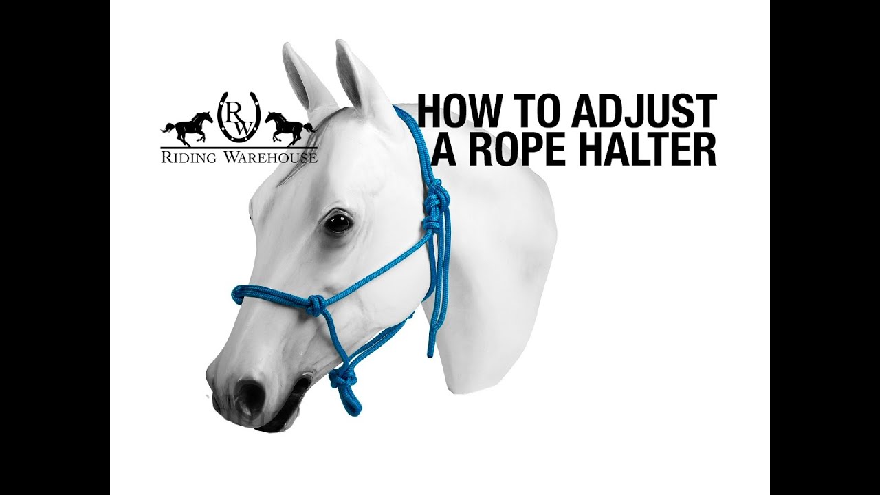 How To Resize & Adjust a Rope Halter