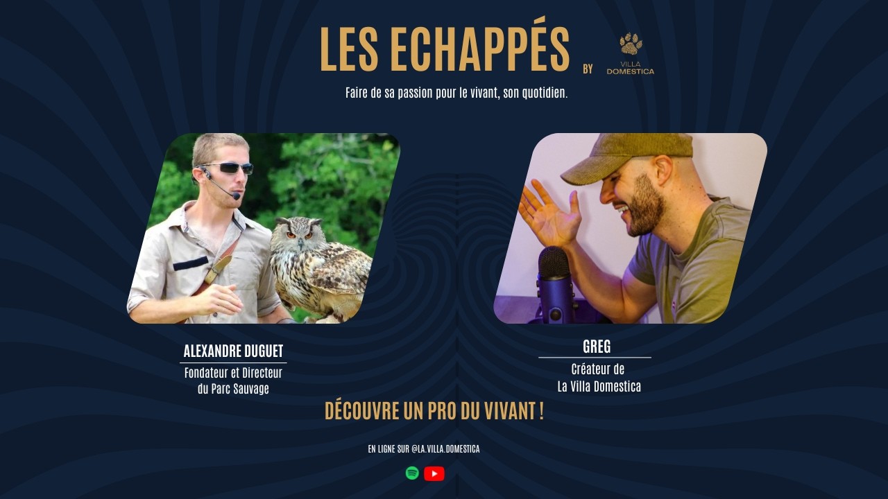 A LA RENCONTRE DU PARC SAUVAGE AVEC ALEXANDRE DUGUET – LES ÉCHAPPÉS EP.2