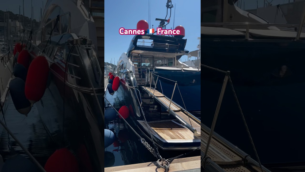Port | Splendid | Cannes | Ville | Old town | France | 4K | Quai Saint-Pierre |