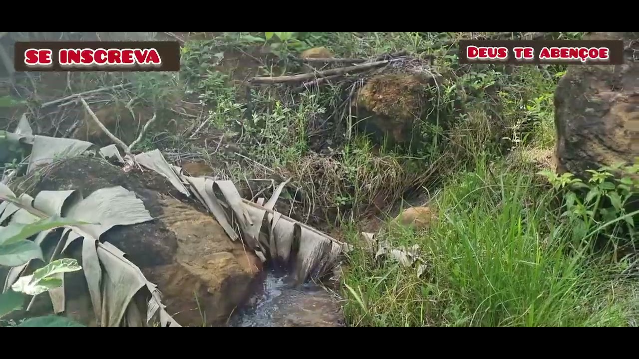 Ele comrpou esse sitio por 28 mil! 3 hectares