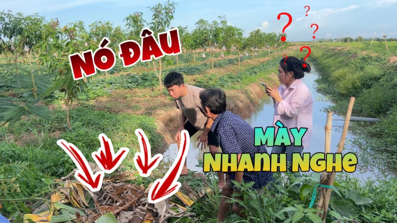 Không Chịu Thua Con Cháu Hai Cha Già Quyết Định Trả Thù