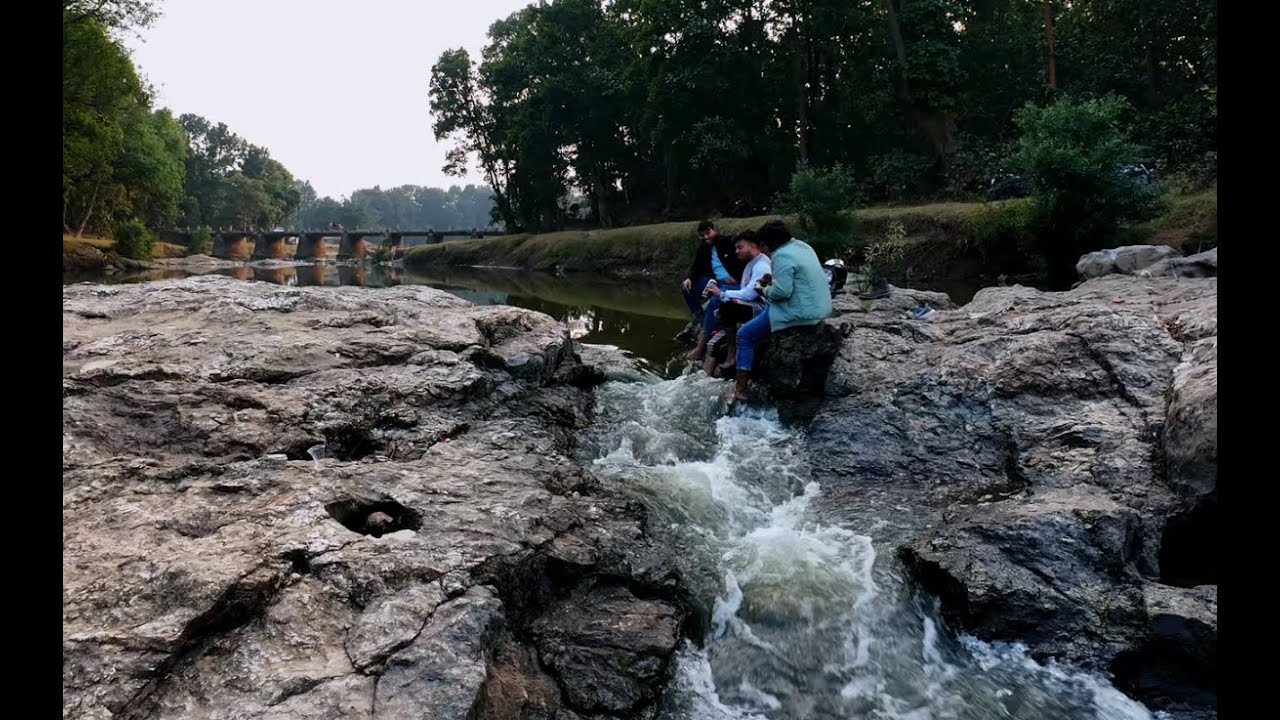 Day out with friends