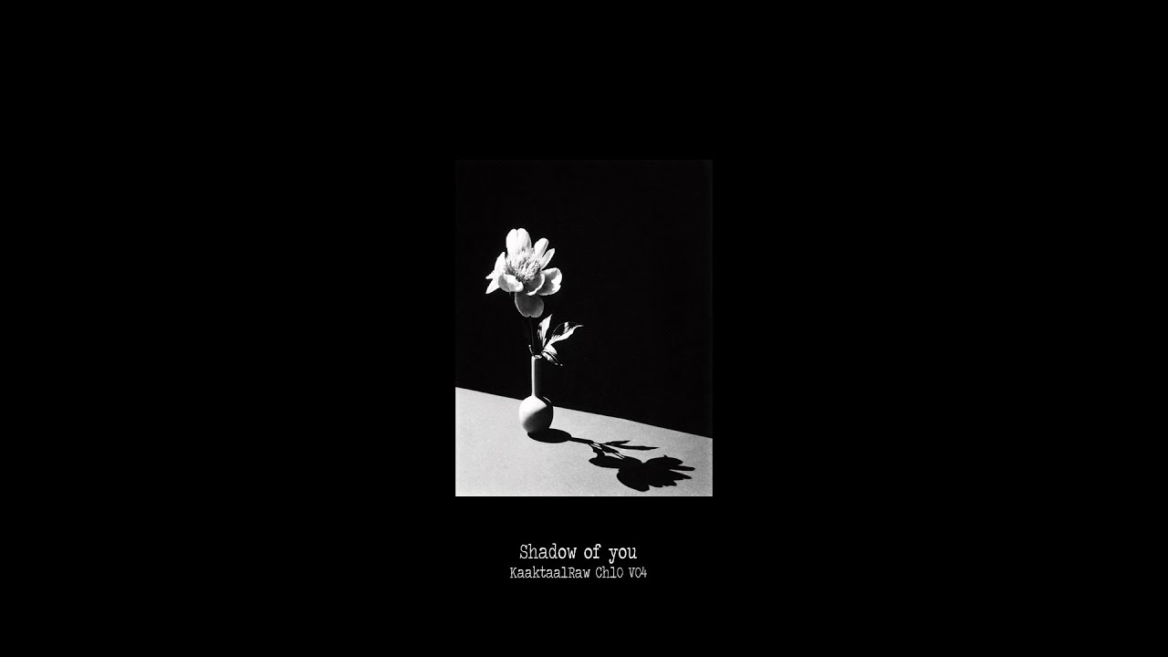 Shadow of you || KaaktaalRaw V04 Ch10