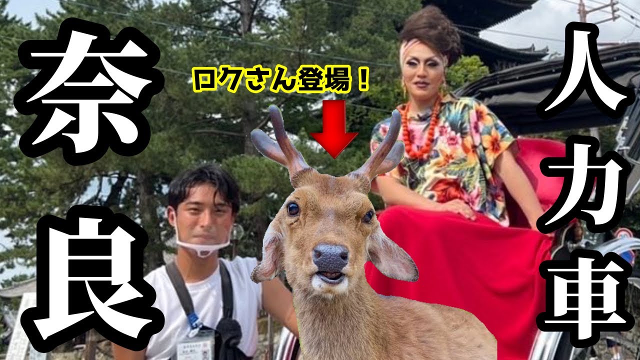 奈良さんぽ！初めて乗る人力車とイケメン車夫に大興奮！奈良公園の主「ロクさん」にも奇跡の遭遇！末廣堂ではフルーツ大福を堪能！