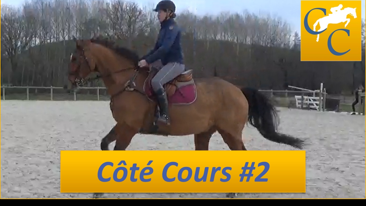 Exercice de saut pour améliorer la technique de son cheval