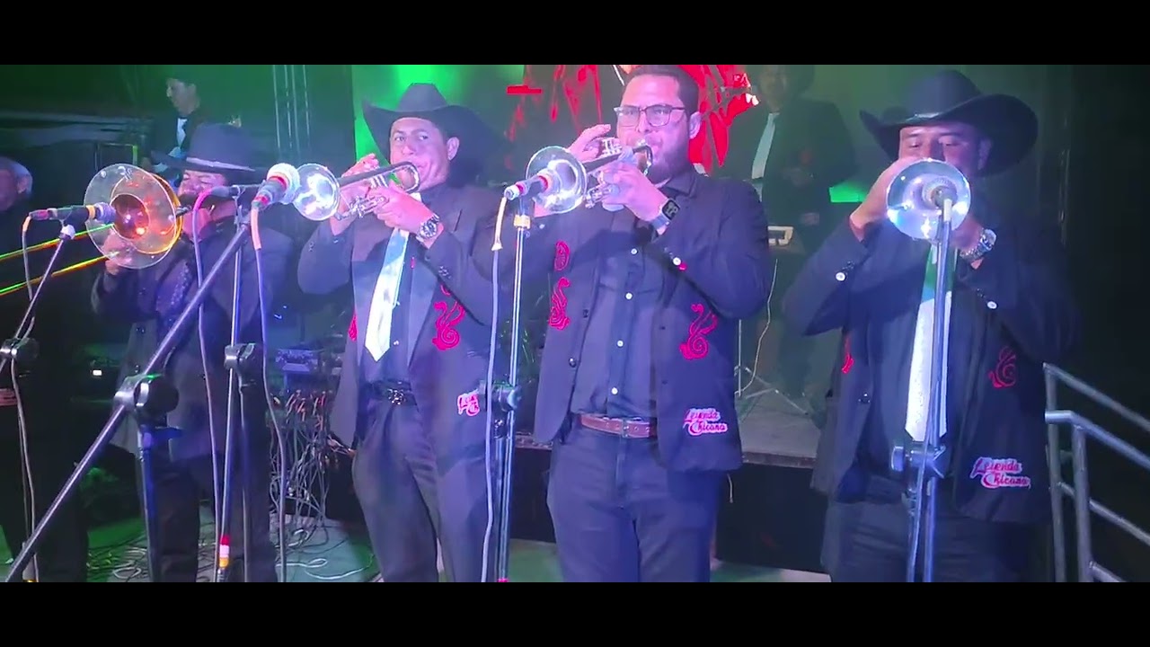 Dónde caigo y k sé escuché bonito DON TOÑO Y PURA VOZ CHICANA 🎶😭🤠