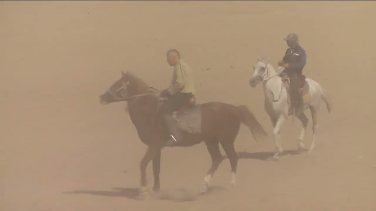 AZZAM BAYDYN ROZA GELNIN OGULLARYNYN KOPKARI TOYU 4
