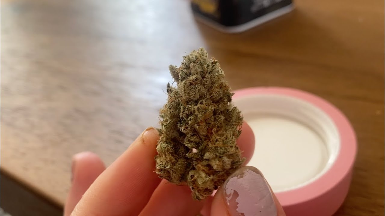 my chaotic 4/20 week