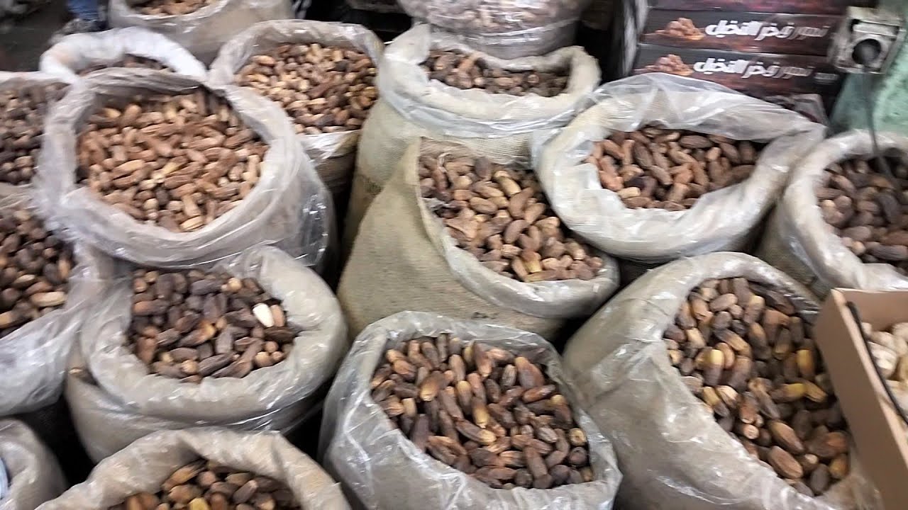 معقولة اسعار البلح رمضان 2026| بيبدا ب 25 جنيه