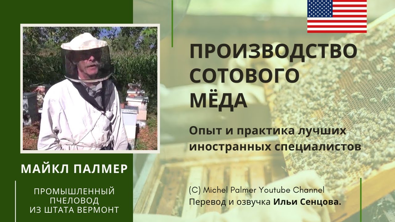 Производство сотового мёда в промышленных объемах (лекция Майкла Палмера, Великобритания, 2013)