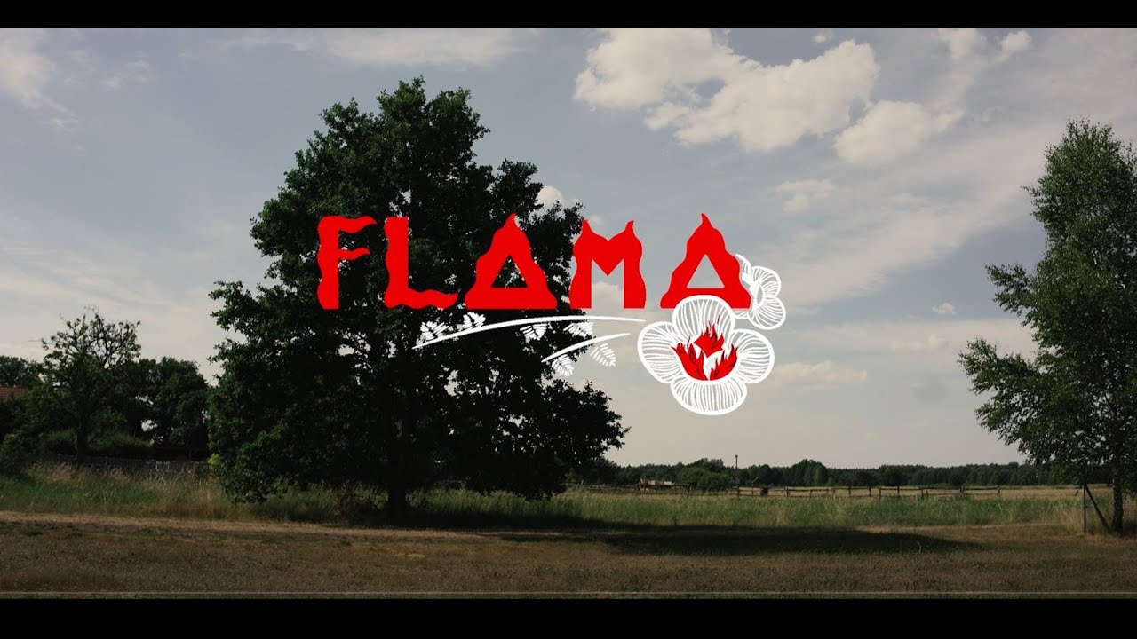 FLAMA 
