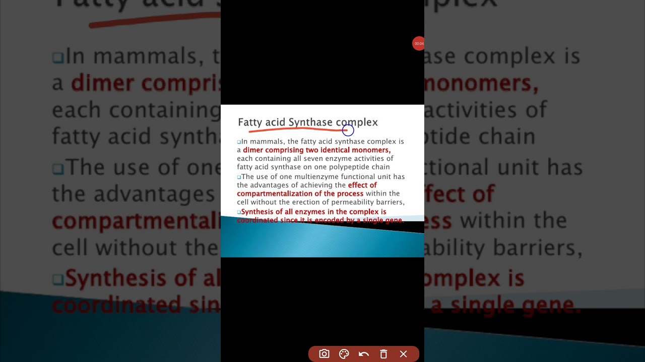 fatty acid synthase complex (part 3)